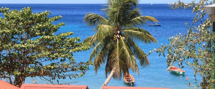 voyage en Martinique inoubliable